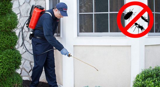 Ayvalık Kene İlaçlama böcek ilaçlama ve haşere kontrolü — ilaclama-tr.com